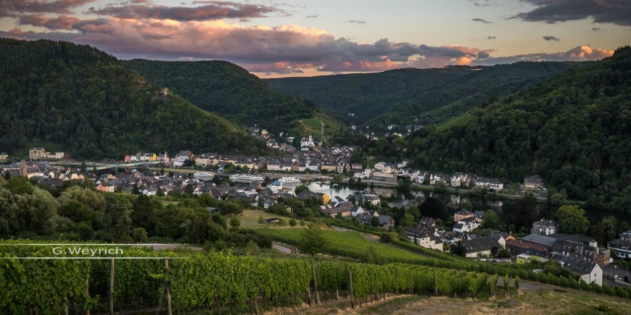 فيلا Ferienweingut Goebel ترابن ترارباخ المظهر الخارجي الصورة
